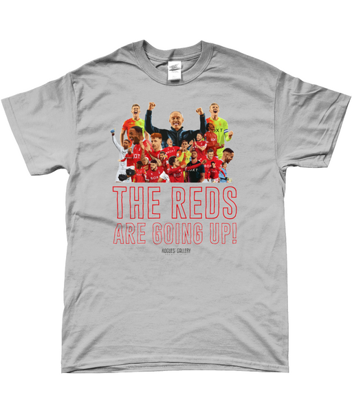 The Reds Are Going Up Nottingham Forest grey t-Shirt