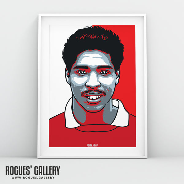 Des Walker - Nottingham Forest - A0, A2, A1 or A3 #GetBehindTheLads Icon Prints