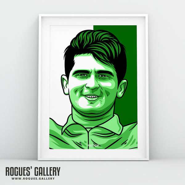 Shaheen Afridi - Pakistan Cricket Star - A3, A2, A1 or A0 Icon & Pop Art Prints