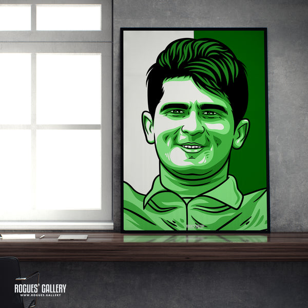 Shaheen Afridi - Pakistan Cricket Star - A3, A2, A1 or A0 Icon & Pop Art Prints
