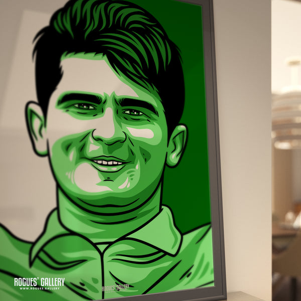 Shaheen Afridi - Pakistan Cricket Star - A3, A2, A1 or A0 Icon & Pop Art Prints