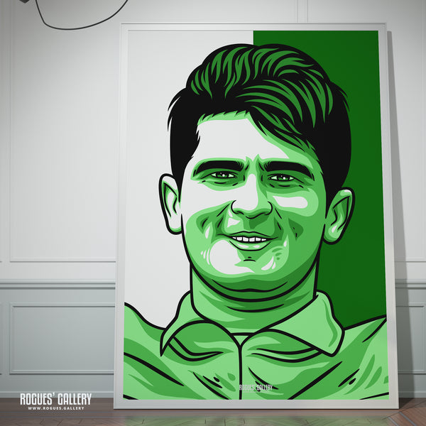 Shaheen Afridi - Pakistan Cricket Star - A3, A2, A1 or A0 Icon & Pop Art Prints
