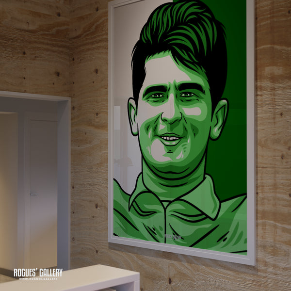 Shaheen Afridi - Pakistan Cricket Star - A3, A2, A1 or A0 Icon & Pop Art Prints