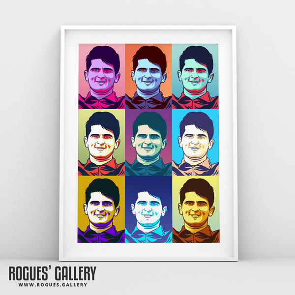 Shaheen Afridi - Pakistan Cricket Star - A3, A2, A1 or A0 Icon & Pop Art Prints