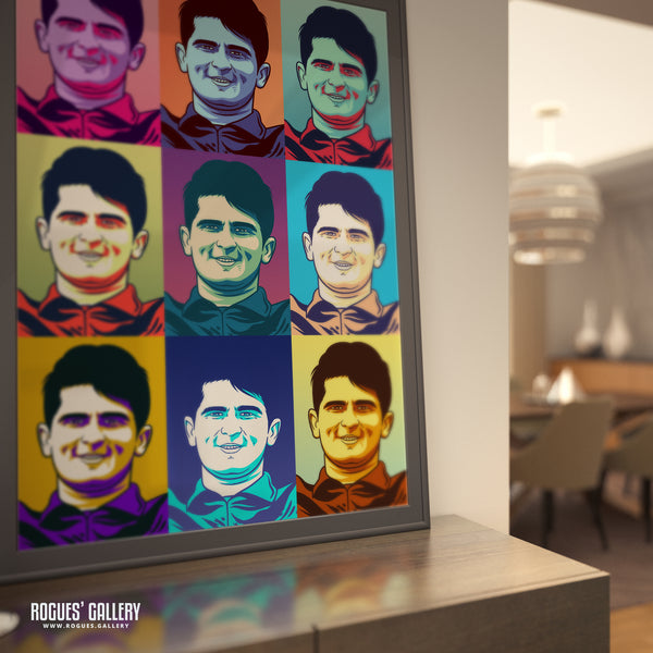 Shaheen Afridi - Pakistan Cricket Star - A3, A2, A1 or A0 Icon & Pop Art Prints