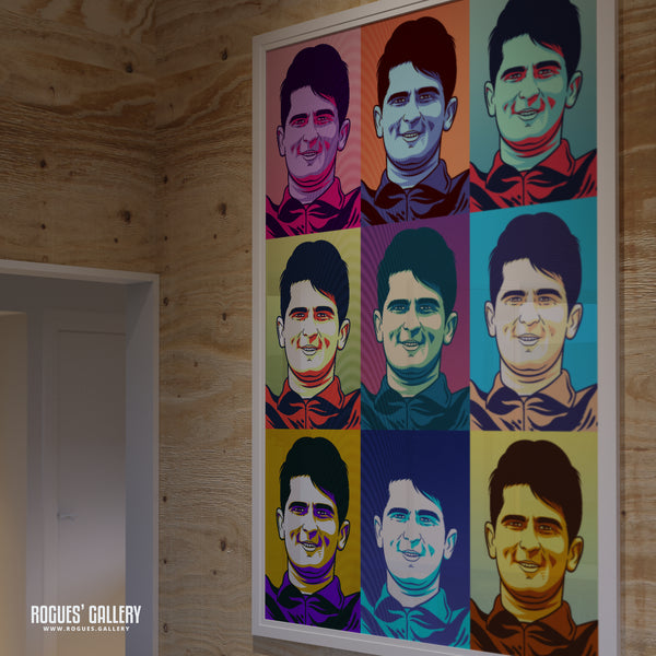 Shaheen Afridi - Pakistan Cricket Star - A3, A2, A1 or A0 Icon & Pop Art Prints