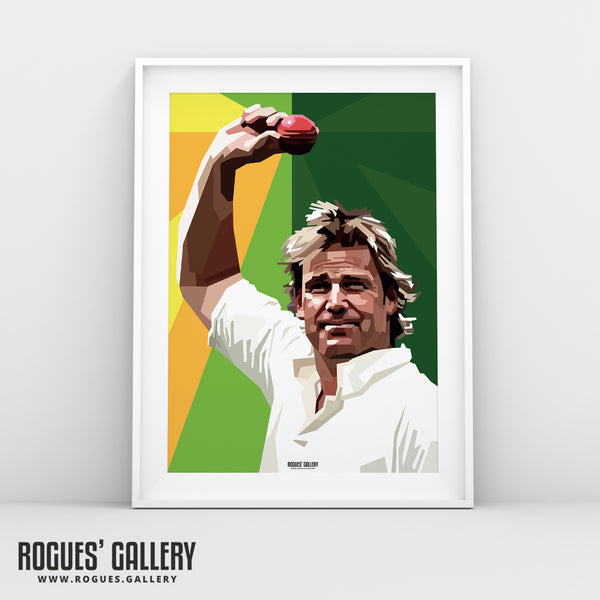 Shane Warne: 700 Up Salute - The Aussie Cricket Legend - A0, A1, A2 or A3 Pop Art Prints