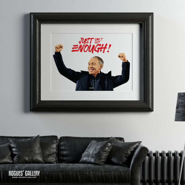 Just Can't Get Enough! Stevie Cooper - A0, A1, A2 or A3 Print