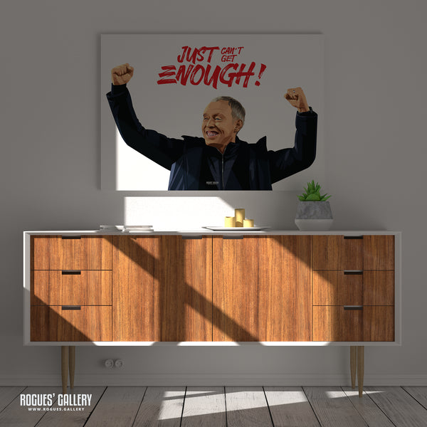 Just Can't Get Enough! Stevie Cooper - A0, A1, A2 or A3 Print