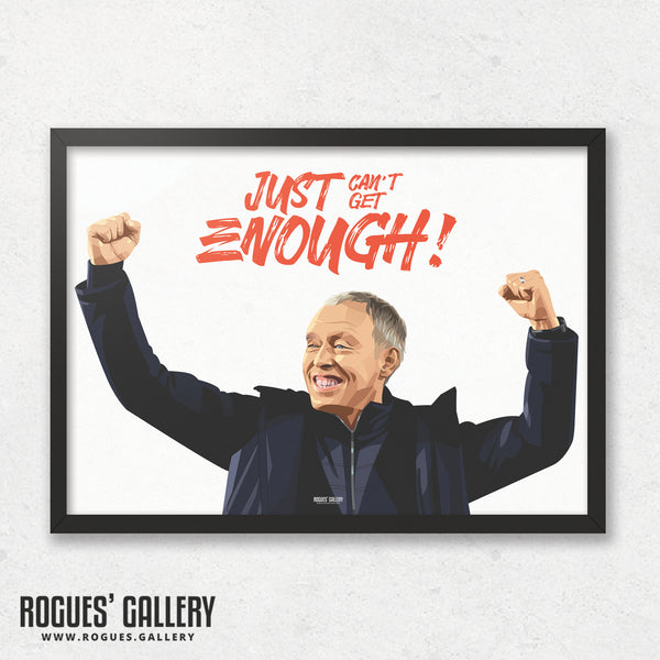 Just Can't Get Enough! Stevie Cooper - A0, A1, A2 or A3 Print