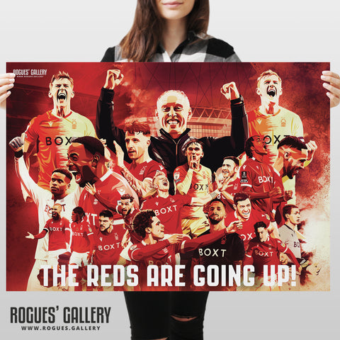 The Reds Are Going Up! - Nottingham Forest Wembley Souvenir Grungy Montage - A0, A1, A2 or A3 Print
