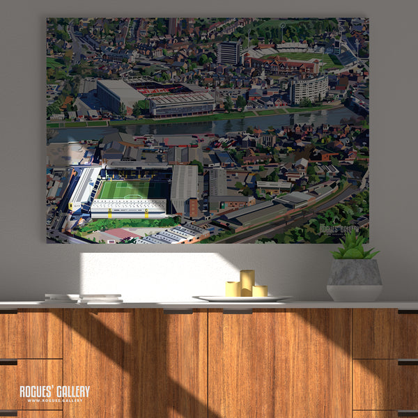 The Grounds of Nottingham - The City Ground, Trent Bridge Cricket Ground & Meadow Lane - A0, A1, A2 or A3 Prints
