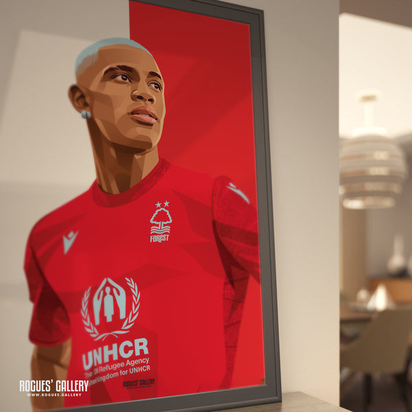 Danilo - Nottingham Forest - A0, A1, A2 or A3 Red & White Prints