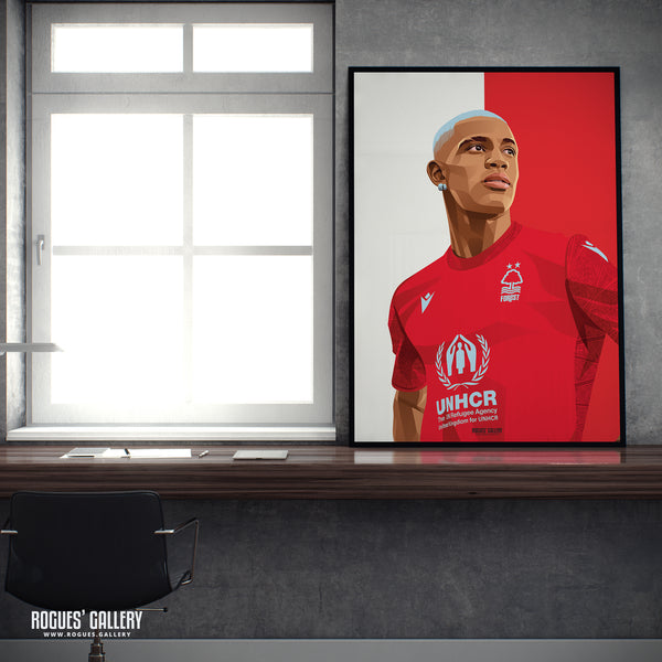 Danilo - Nottingham Forest - A0, A1, A2 or A3 Red & White Prints