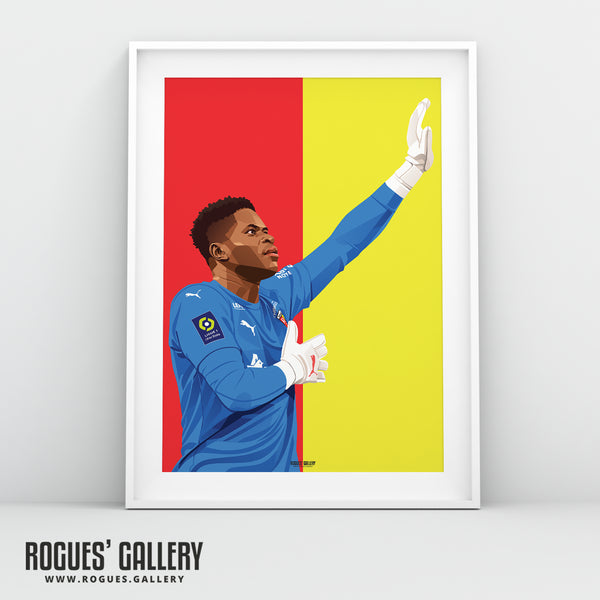 Hero At Home - Brice Samba - RC Lens - A0, A1, A2 or A3 Prints