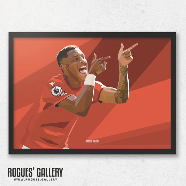 Danilo: Pistols At Dawn - Nottingham Forest - A0, A1, A2 or A3 Prints