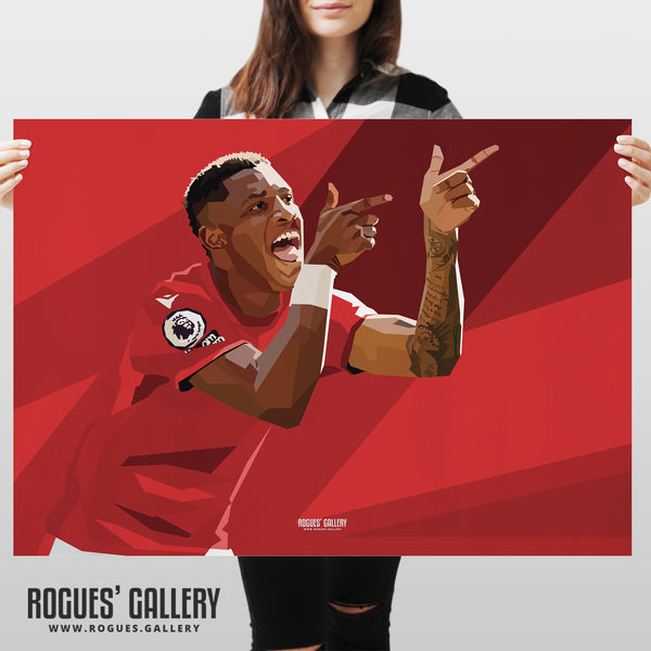 Danilo: Pistols At Dawn - Nottingham Forest - A0, A1, A2 or A3 Prints