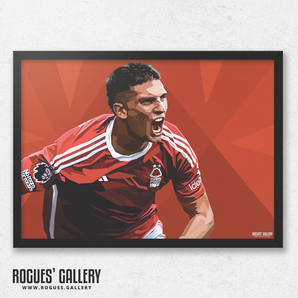 Nicolas Dominguez - Nottingham Forest - A0, A1, A2 or A3 Modern Art Prints (Landscape Version)