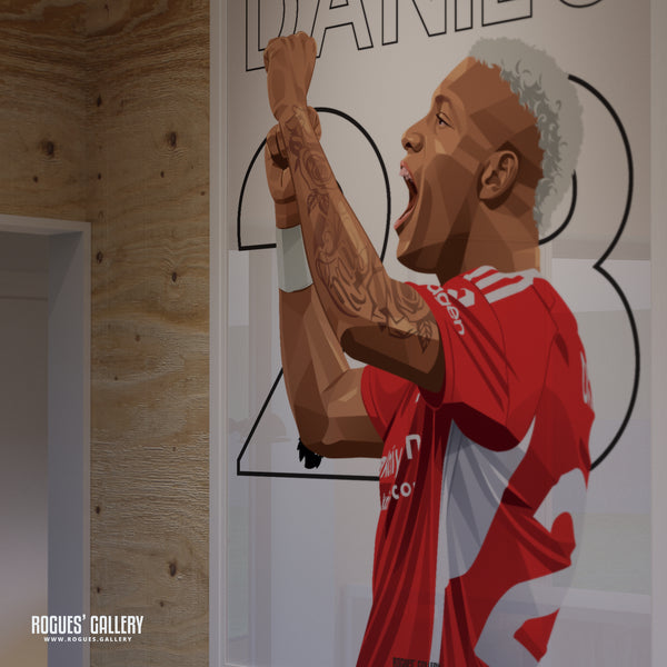 Danilo - Nottingham Forest - A0, A1, A2 or A3 Name & Number Prints