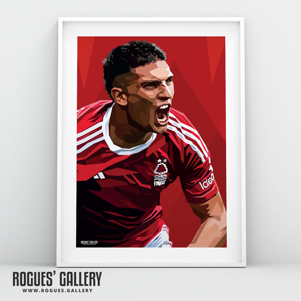 Nicolas Dominguez - Nottingham Forest - Signed A3 Modern Art Prints