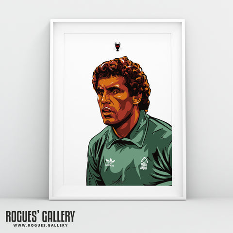 Peter Shilton - Portrait Series 6 - A3 Print