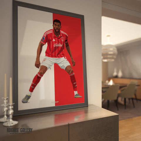 Ibrahim Sangare signed Nottingham Forest memorabilia poster City Ground Garibaldi 