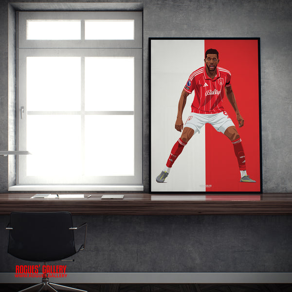 Ibrahim Sangare Nottingham Forest A2 print City Ground Garibaldi