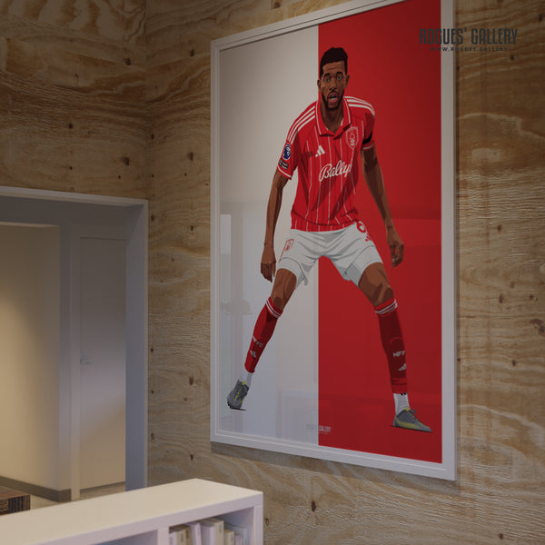 Ibrahim Sangare Nottingham Forest signed poster City Ground Garibaldi