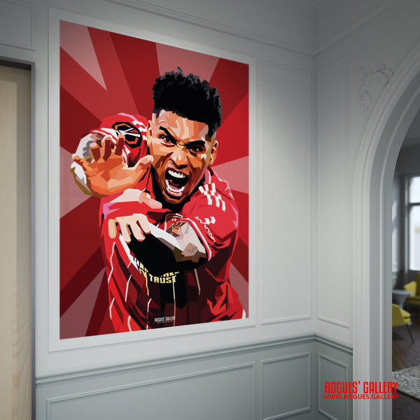 Igor Jesus Nottingham Forest striker framed picture Brazil City Ground celebration 