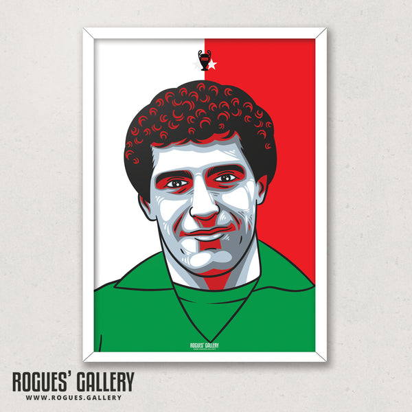 Peter Shilton - #GetBehindTheLads - A3 Print