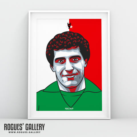 Peter Shilton - #GetBehindTheLads - A3 Print