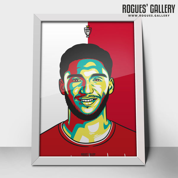 Gomez - A3 Champions Icon Print