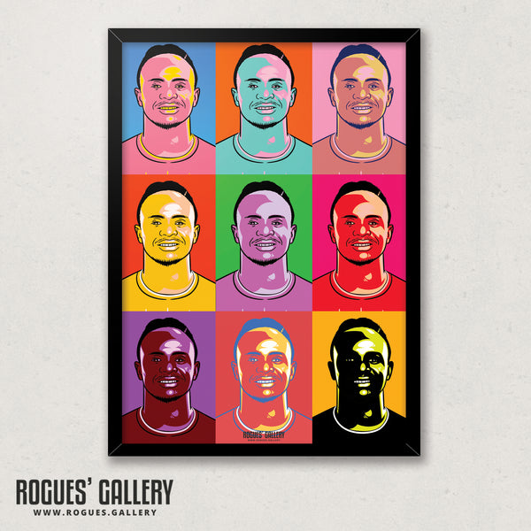 Mane - A3 Pop Art Print