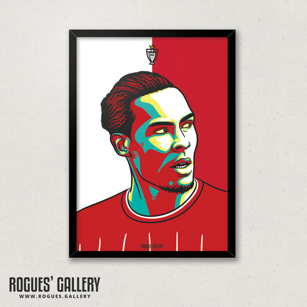 Van Dijk - A3 Champions Icon Print