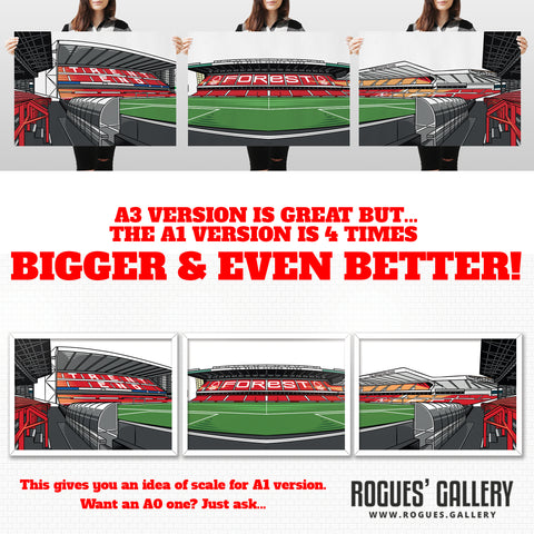 Triptych - The World Famous City Ground - Set of three A3, A2 or A1 Sized Prints