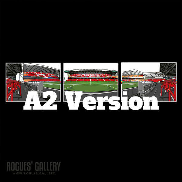 Triptych - The World Famous City Ground - Set of three A3, A2 or A1 Sized Prints