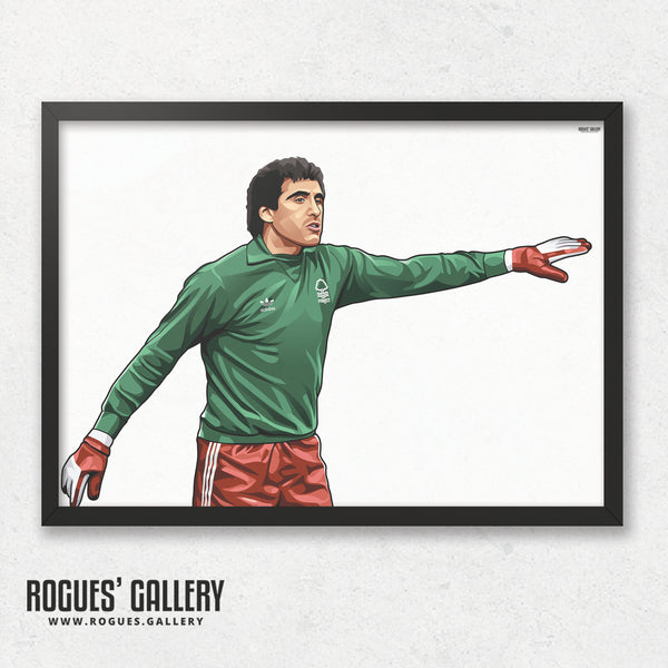 Peter Shilton: Welcome To Nottingham - A0, A1 or A3 Print - with or without text