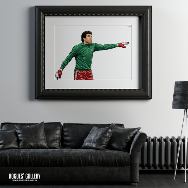 Peter Shilton: Welcome To Nottingham - A0, A1 or A3 Print - with or without text