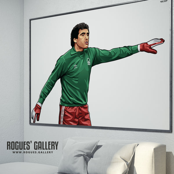 Peter Shilton: Welcome To Nottingham - A0, A1 or A3 Print - with or without text