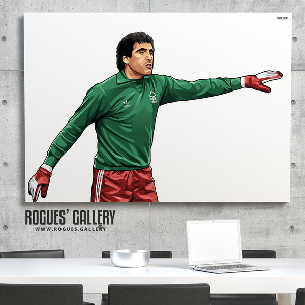 Peter Shilton: Welcome To Nottingham - A0, A1 or A3 Print - with or without text