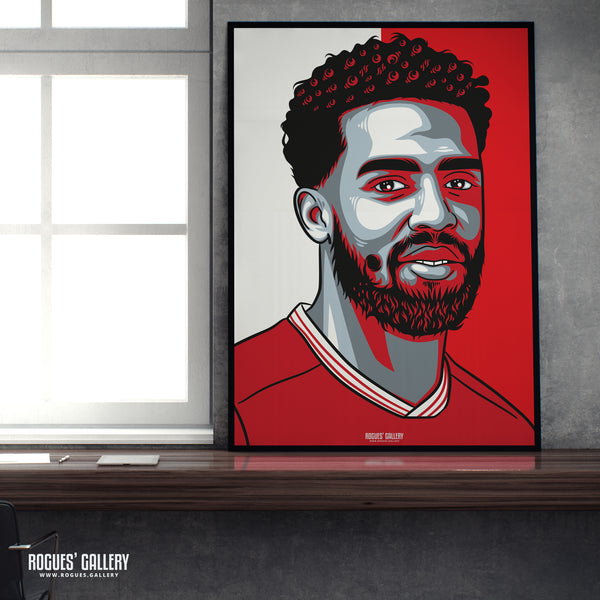 Cyrus Christie - Red & White - A3 Icon Print