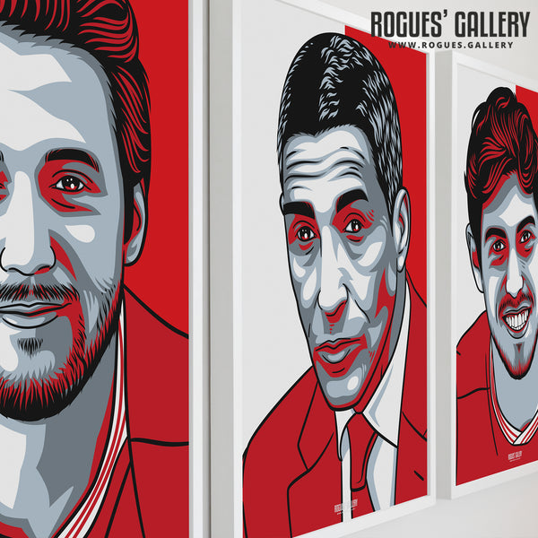 Chris Hughton - Red & White - A3 Icon Print