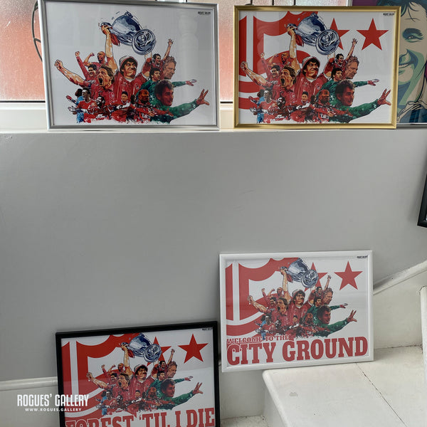 Need a High Quality A3 Frame for your print? - 5 styles available - New HQ Wood Frames