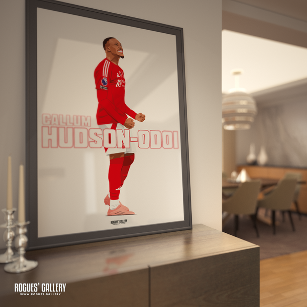 Callum Hudson-Odoi signed Nottingham Forest memorabilia winger poster City Ground