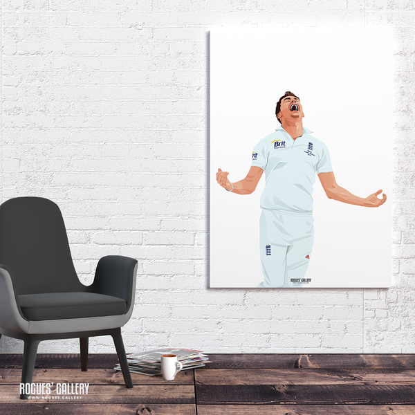 Jimmy Anderson England Cricket bowler celebrates poster Test memorabilia