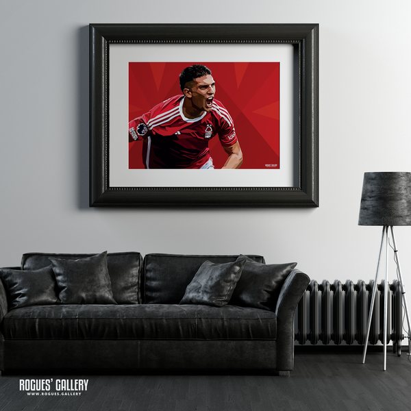 Nicolas Dominguez Nottingham Forest Argentina Midfielder framed picture