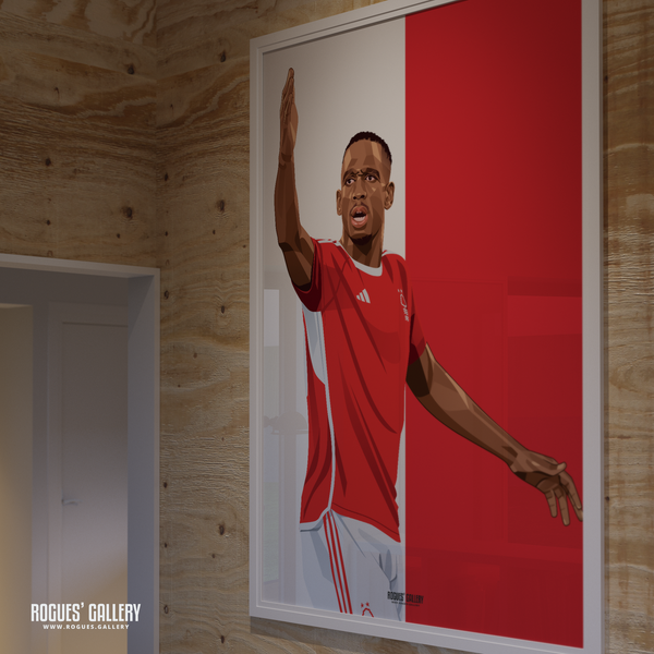 Willy Boly signed Nottingham Forest memorabilia poster