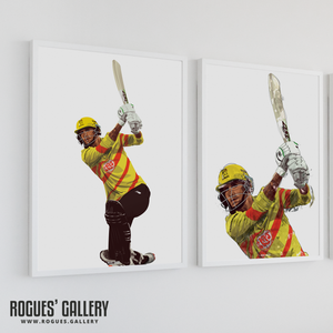 Alex Hales cricket batsman modern art limited overs franchise designs framed signed wall unique