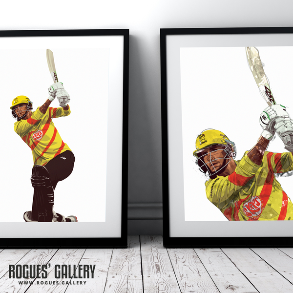 Alex Hales cricket batsman modern art limited overs franchise designs framed rockets