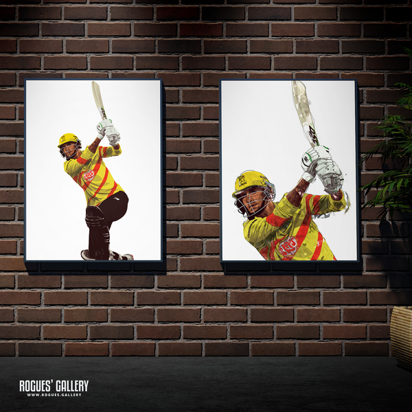 Alex Hales cricket batsman modern art limited overs franchise designs framed signed on wall